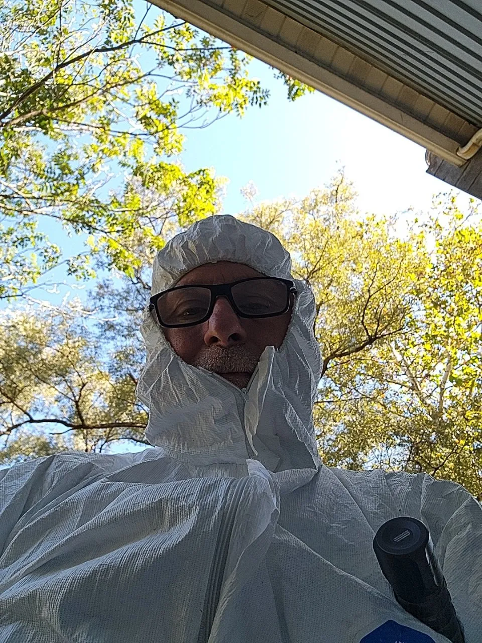 Mold Assessment